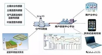 AI與IoT融合 賦能智慧農業的安防與自動化控制系統